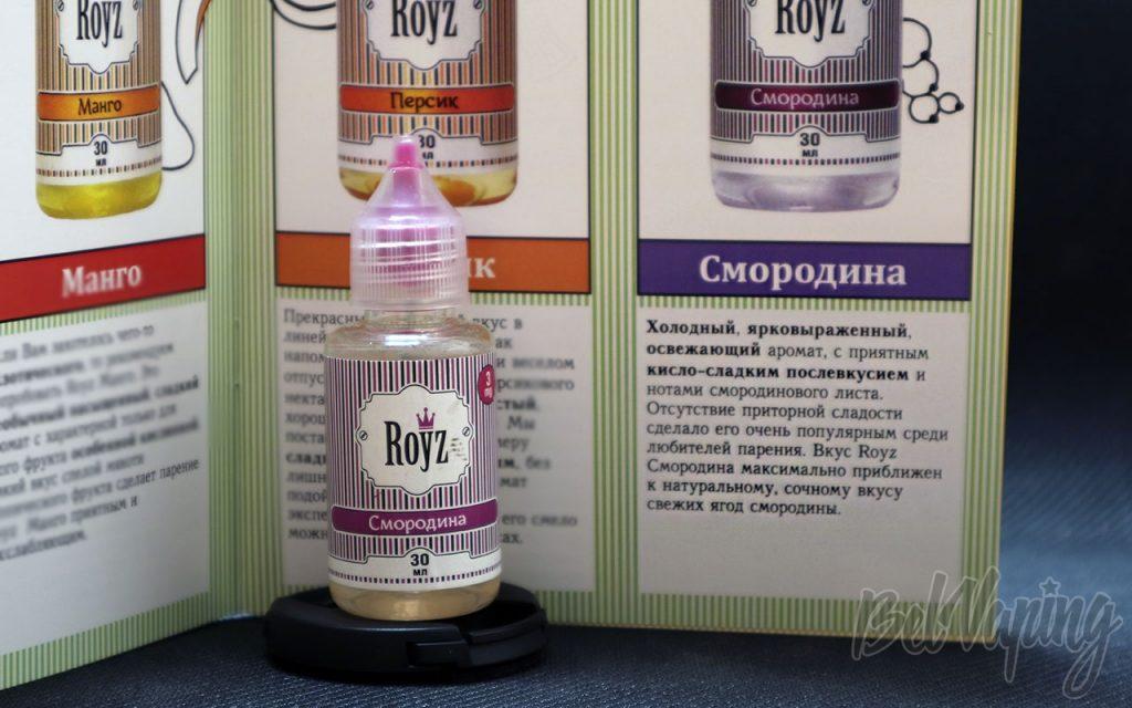 Обзор жидкости ROYZ - Смородина