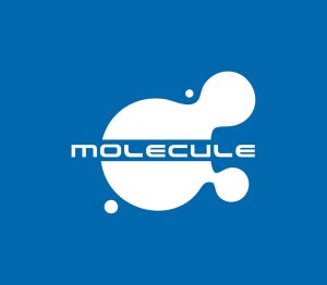 Компания "Молекула"