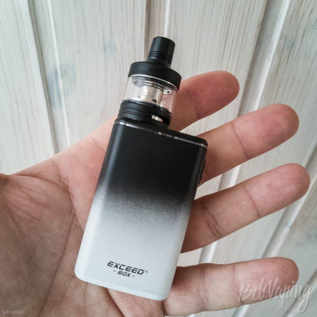 Внешний вид Exceed Box with Exceed D22C в руке