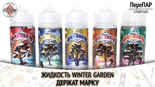 Обзор жидкости Winter Garden