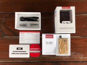 Комплектация Artery PAL Mini