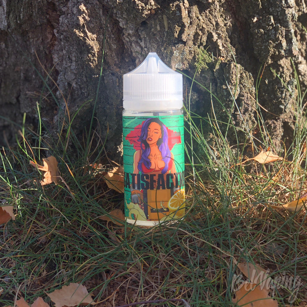 Жидкость Satisfaction Lemon Soda