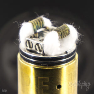 Укладка ваты в Tannhauser Gate RDA