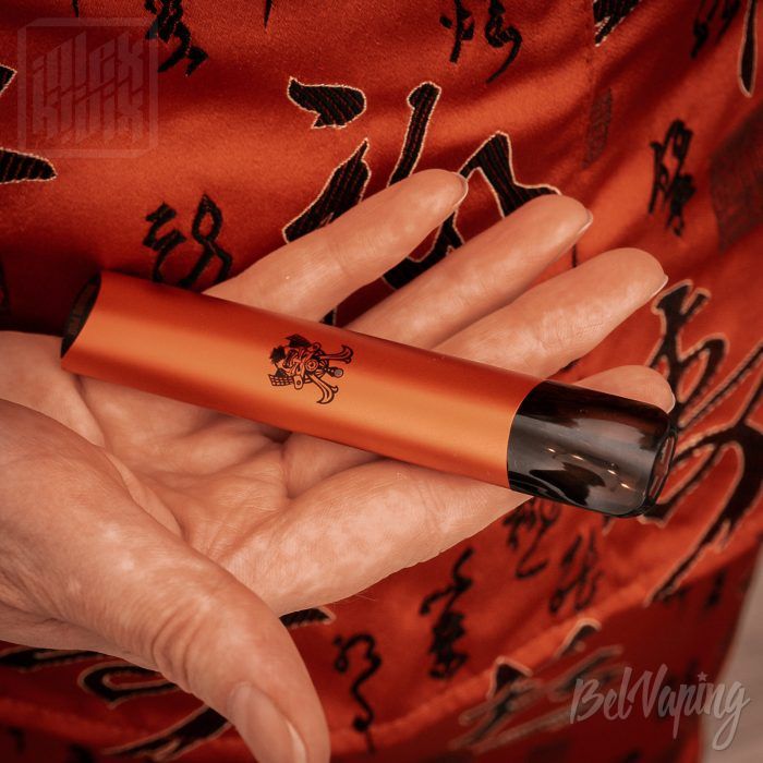 Внешний вид Bushido POD в руке