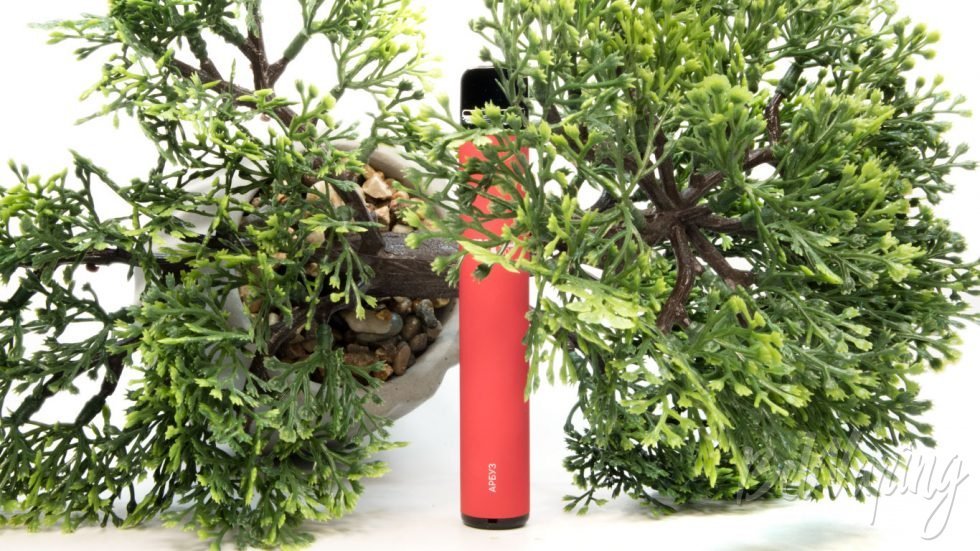 Одноразки Vapeonly FILLBAR 800 - вкус АРБУЗ