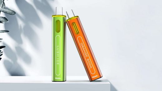Vozol Meshstick Max. Первый взгляд