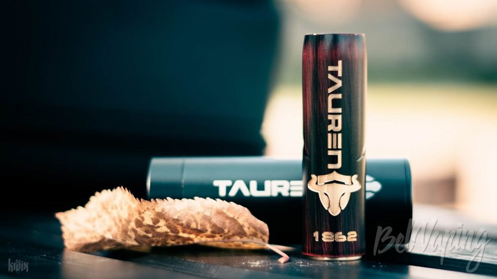Обзор мехмода Tauren Mech Mod от ThunderHead Creations