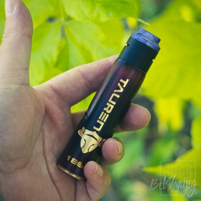 Tauren Mech Mod в руке