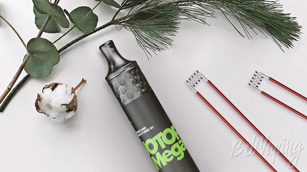 Wotofo Mega Vape Pen. Первый взгляд