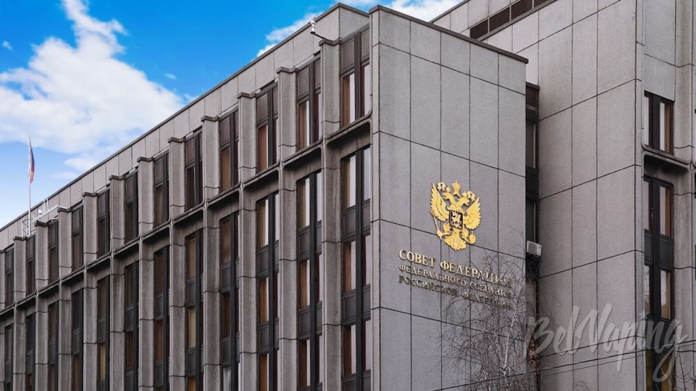 Проект налога на одноразки от Совета Федерации России