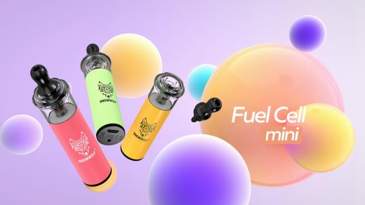 Snowwolf Fuel Cell Mini Pod. Первый взгляд