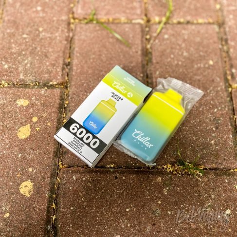 Упаковка одноразки Chillax Plus 6000