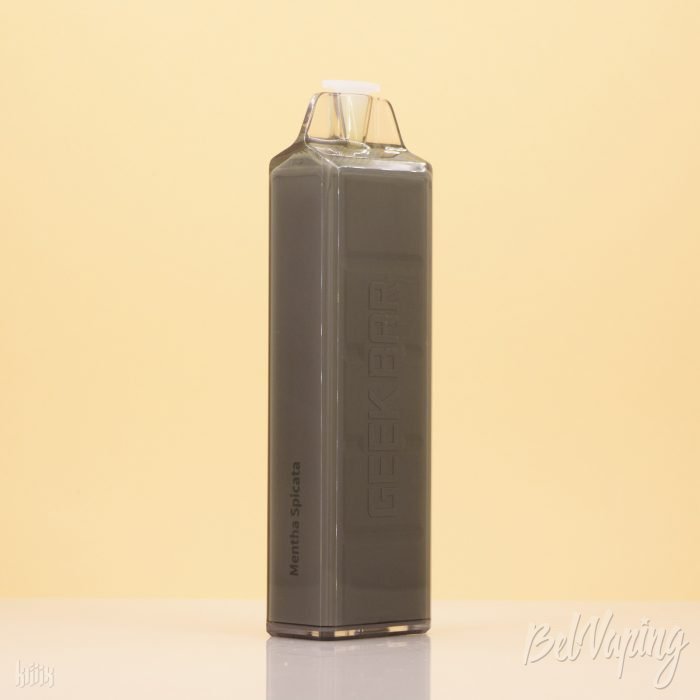 Одноразка Geekbar S6000 Mentha Spicata