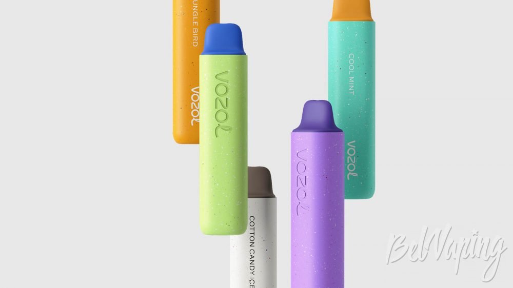 Vozol Star 3000 Disposable Kit. Первый взгляд
