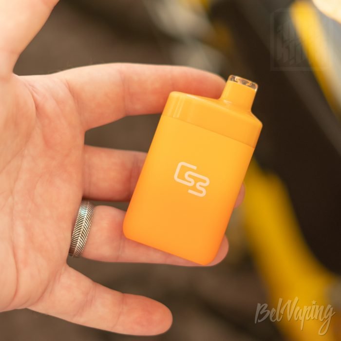 Размеры одноразки GeekBar B5000 в руке