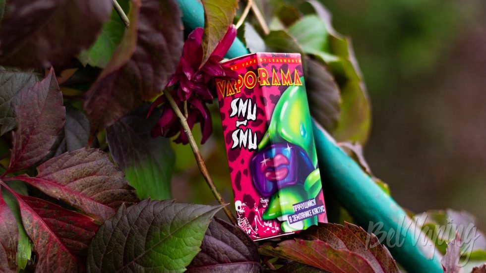 Жидкость Learmonth Vaporama Snu-Snu