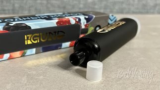 Мундштук одноразок Gun 5000