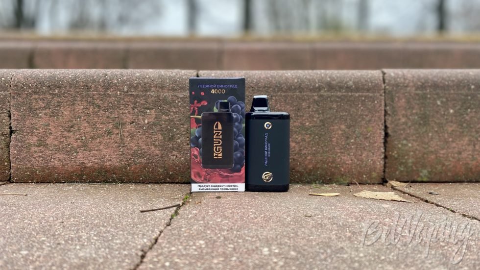 Одноразка Gun 4000 Iced Grape