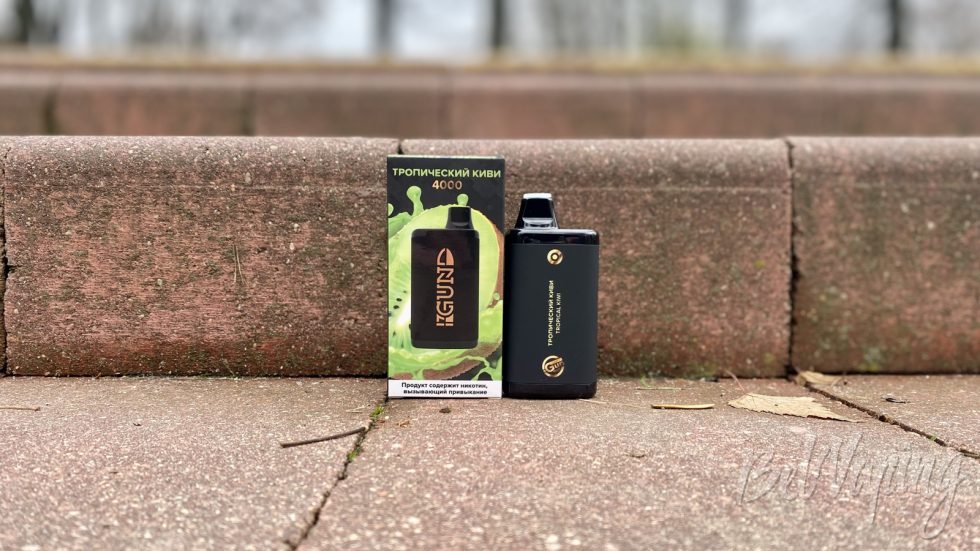 Одноразка Gun 4000 Tropical Kiwi