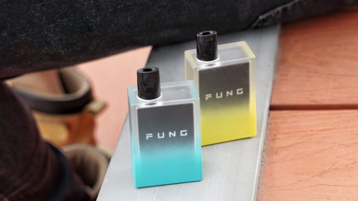 Fung Vape Ice Disposable Kit. Первый взгляд
