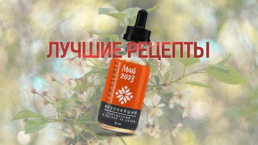 Лучшие рецепты самозамеса за май 2023 года