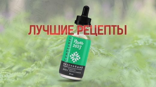 Лучшие рецепты самозамеса за июнь 2023 года