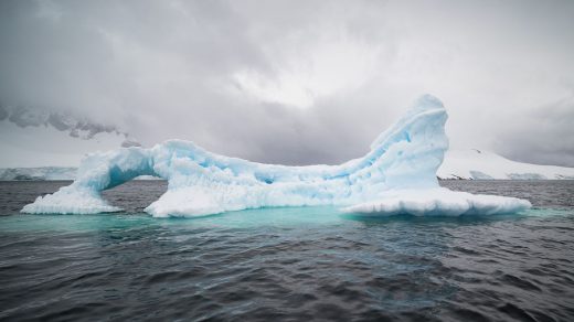 Сумасшедший мир - суд за слово ICE в названии