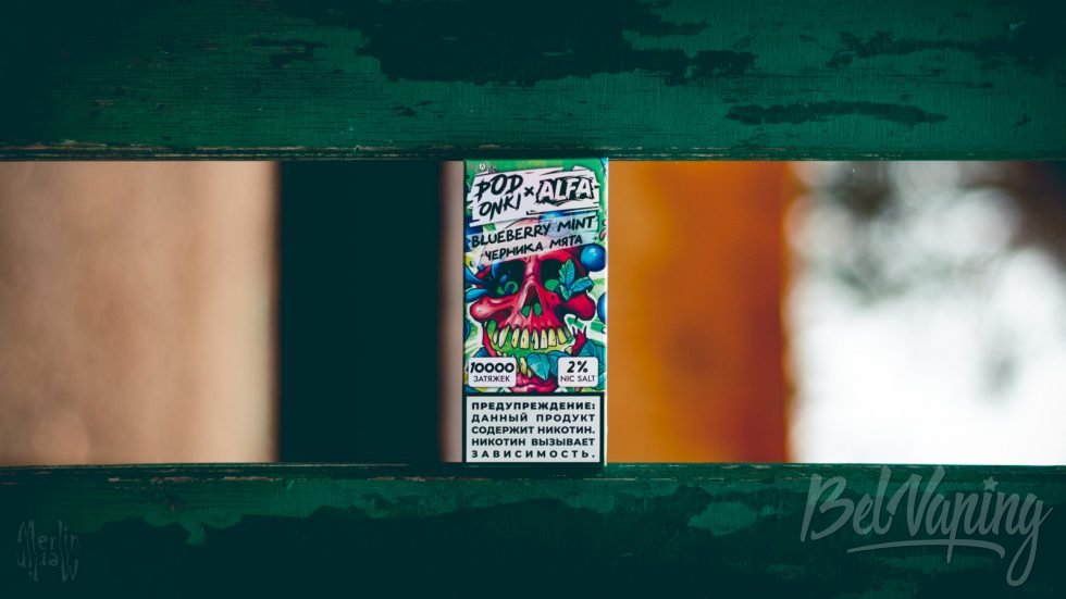 Одноразка PODONKI x ALFA Blueberry Mint