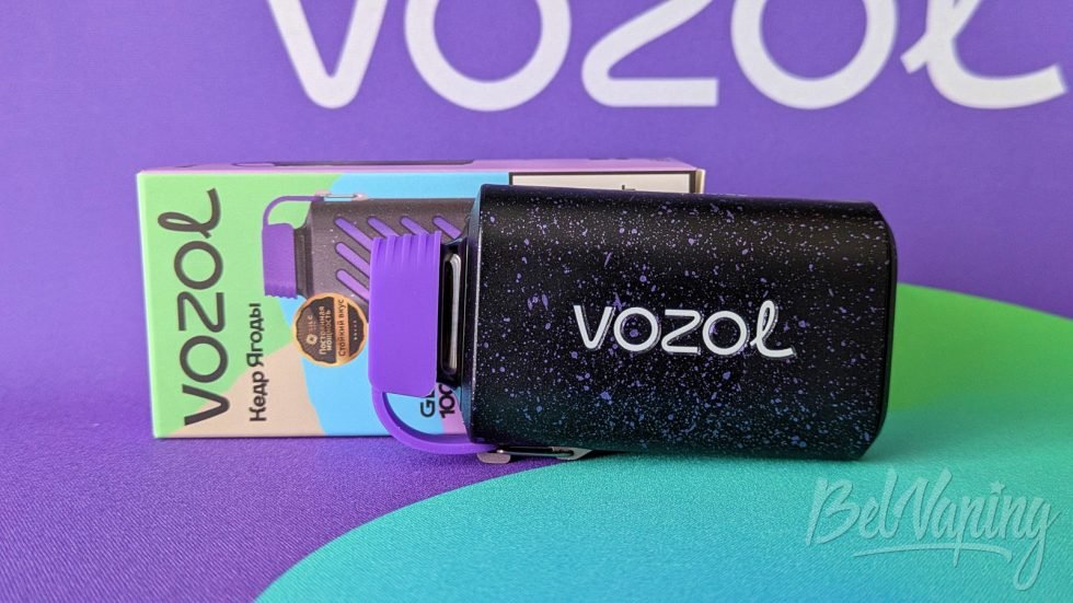 Одноразка Vozol Gear 10000 Cedar Berries