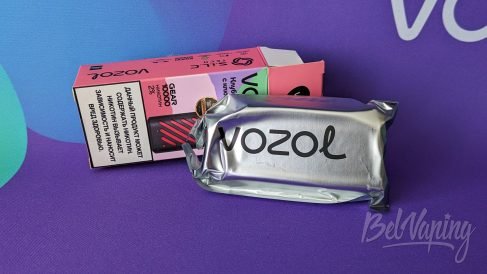 Упаковка одноразок Vozol 10000
