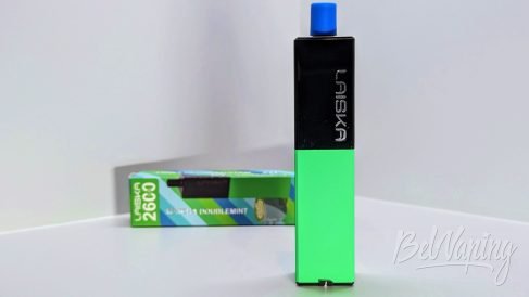 Внешний вид одноразок Laiska H3 2600