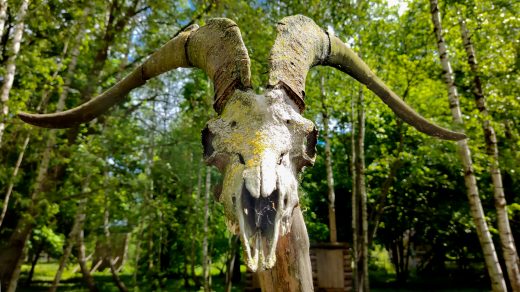 Новости вейпинга. Дайджест за первую половину мая 2024