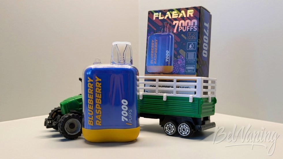 Одноразка Flabar T7000 Blueberry Raspberry
