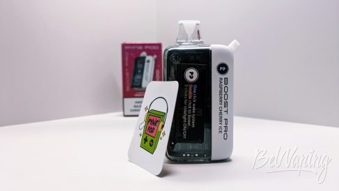 Упаковка одноразки Pynepod Boost Pro