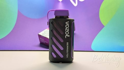 Упаковка одноразок Vozol Gear Power
