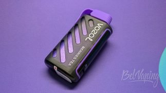 Внешний вид одноразки Vozol Gear Power
