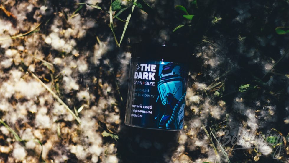 Ароматизаторы и аромамиксы DARK x SIZE FLAVOURS — Max In the Dark Чёрный хлеб с черничным джемом
