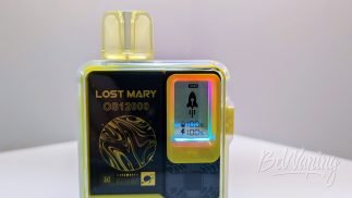 Экран одноразки Lost Mary OS12000