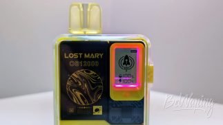 Экран одноразки Lost Mary OS12000