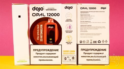 Обзор одноразок DOJO OPAL 12000 от Vaporesso - упаковка