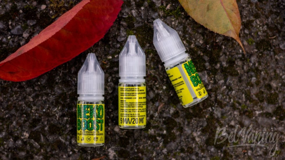 GOSMOKE.RU обзор жидкости SYRUP Neko Boost 1