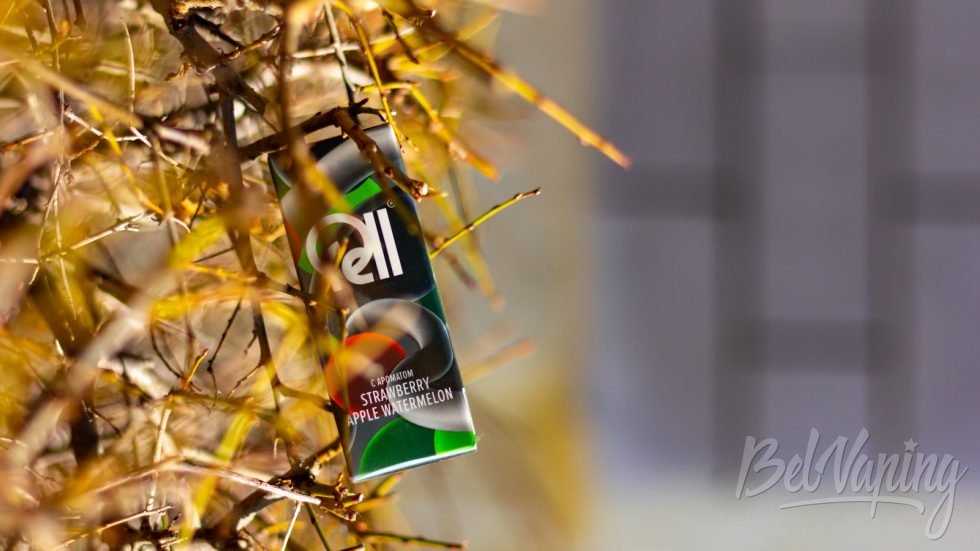 RELL GRAY STRAWBERRY APPLE WATERMELON