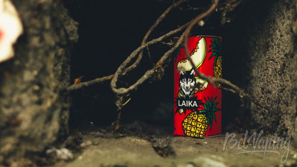 Ароматизатор Laika Pop Fruits Ананас Дыня