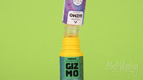 Обзор ароматизаторов GIZMO PREMIUM - приготовление жидкостей