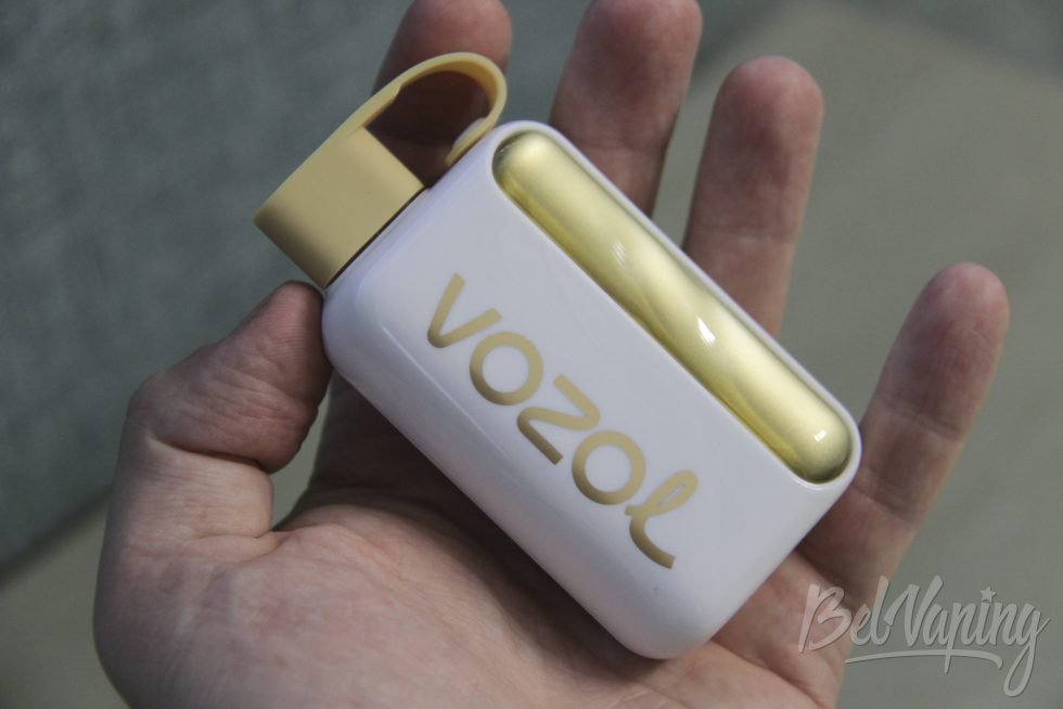 Внешний вид одноразки Vozol Star 46000 в руке