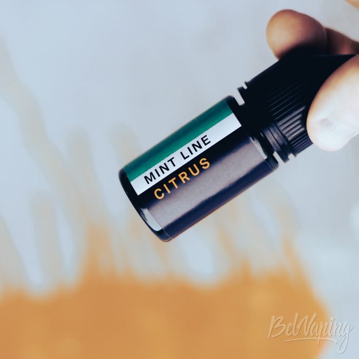 Ароматизатор DARK x SIZE MINT LINE CITRUS 1