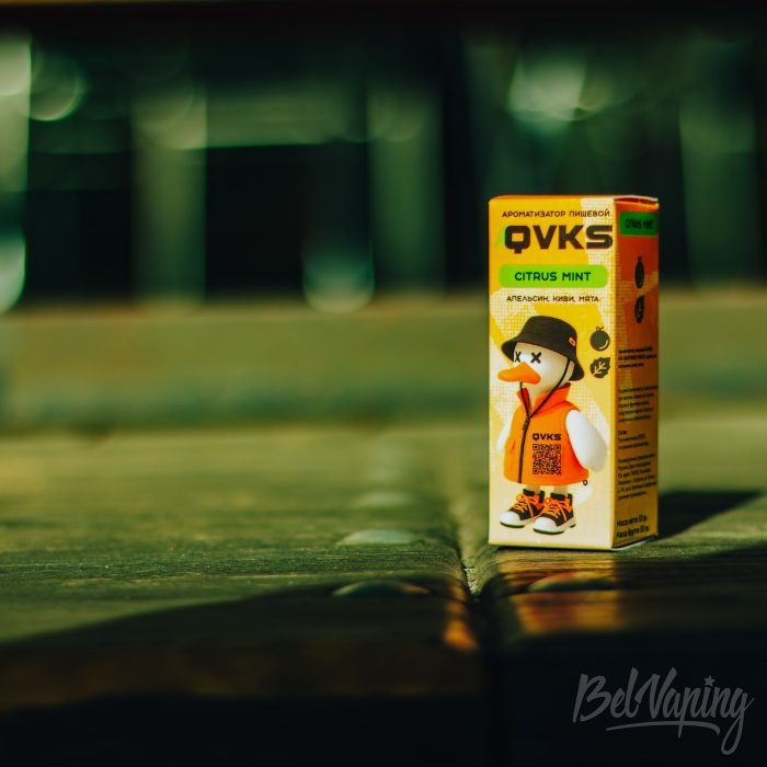Ароматизатор QVKS MIX CITRUS MINT 2