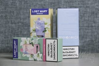 Упаковка одноразки Lost Mary BM16000 Bloom