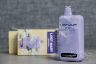 Упаковка одноразки Lost Mary BM16000 Bloom