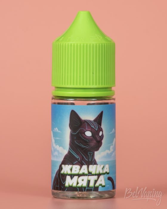 Обзор аромамиксов CAT MINT от Лара Крафт - вкус ЖВАЧКА МЯТА